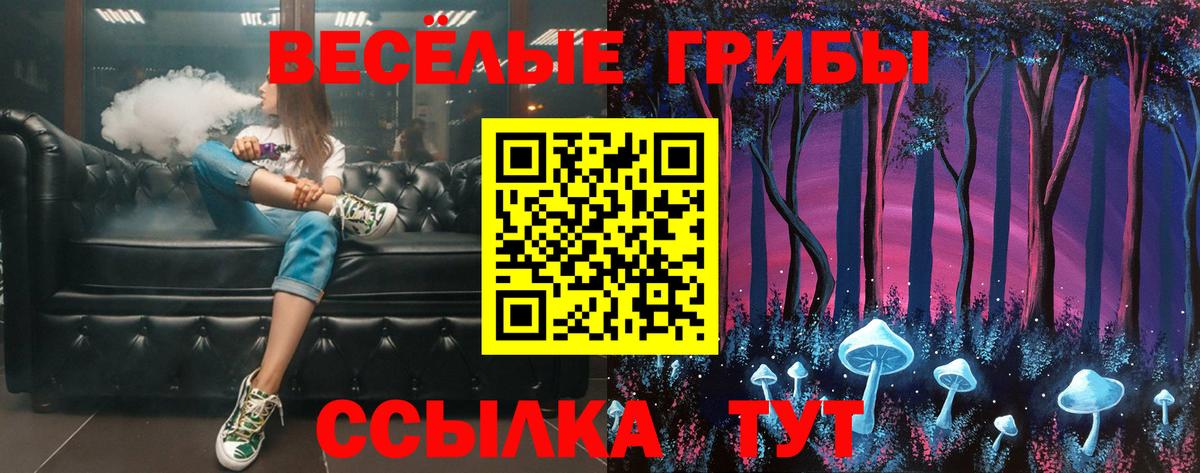 Псилоцибиновые грибы прущие грибы  Вход с VPN  Галлюциногенные грибы прущие грибы  Дзержинск 